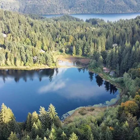 Serene Lake View Home